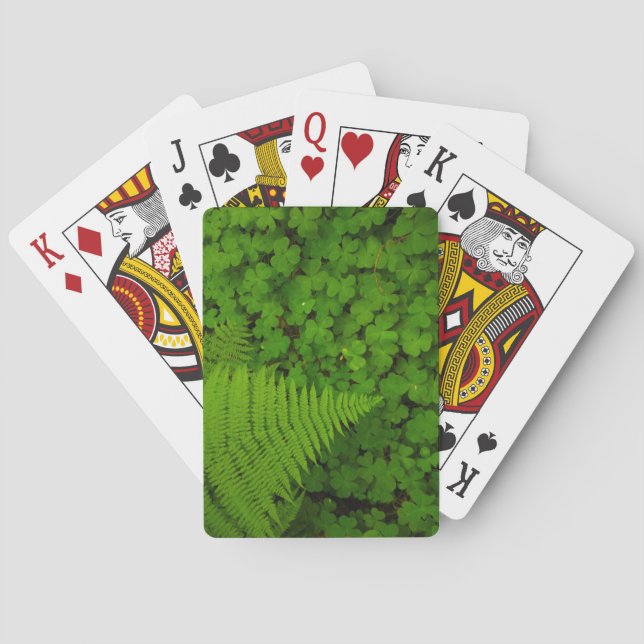 Humboldt Redwoods State Park Playing Cards (Back)