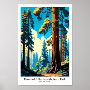 Humboldt Redwoods State Park Travel Illustration Poster