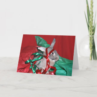 Humbug Christmas bunny Holiday Card