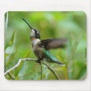 Humm for the Mouse! Mouse Mat