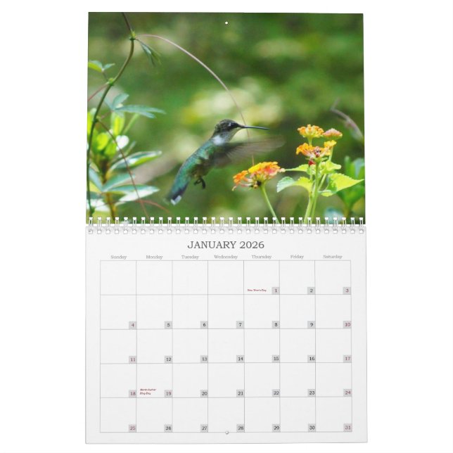 Humm with Me! Calendar (Jan 2026)