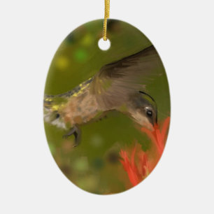 hummer drinking ceramic tree decoration