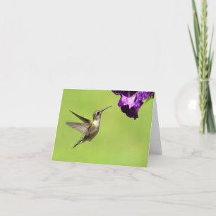 Hummer in Flight Cards