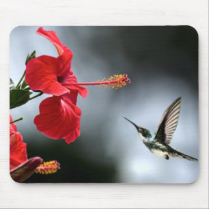 Humming Bird and Red Flower Mouse Mat