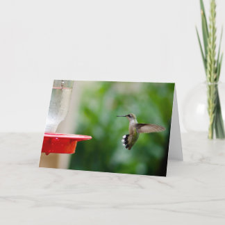 Humming bird card