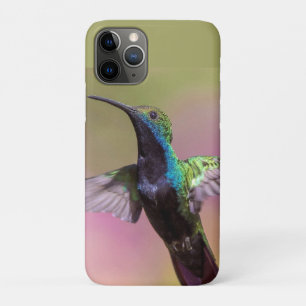 Humming Bird  iPhone 11 Pro Case