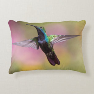 Humming Bird Decorative Cushion