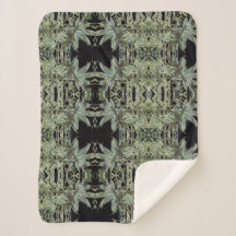 humming bird in a nest