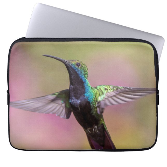 Humming Bird  Laptop Sleeve (Front)
