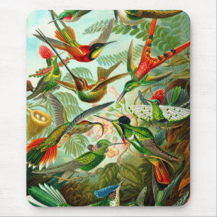 Humming Bird Mouse Mat