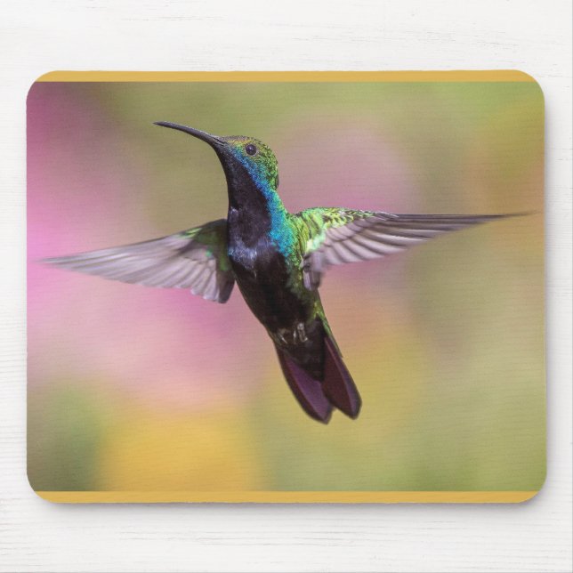 Humming Bird  Mouse Mat (Front)