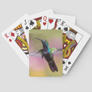 Humming Bird Playing Cards