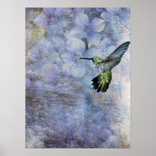 humming bird poster