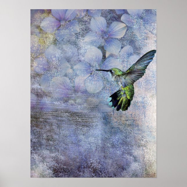humming bird poster (Front)