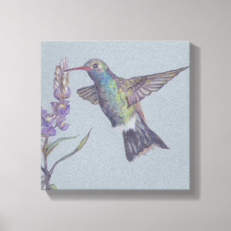 Humming Bird Stretched Canvas Print