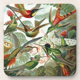 Humming Birds Paradise art Coaster