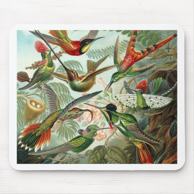 Humming Birds Paradise art Mouse Mat (Front)