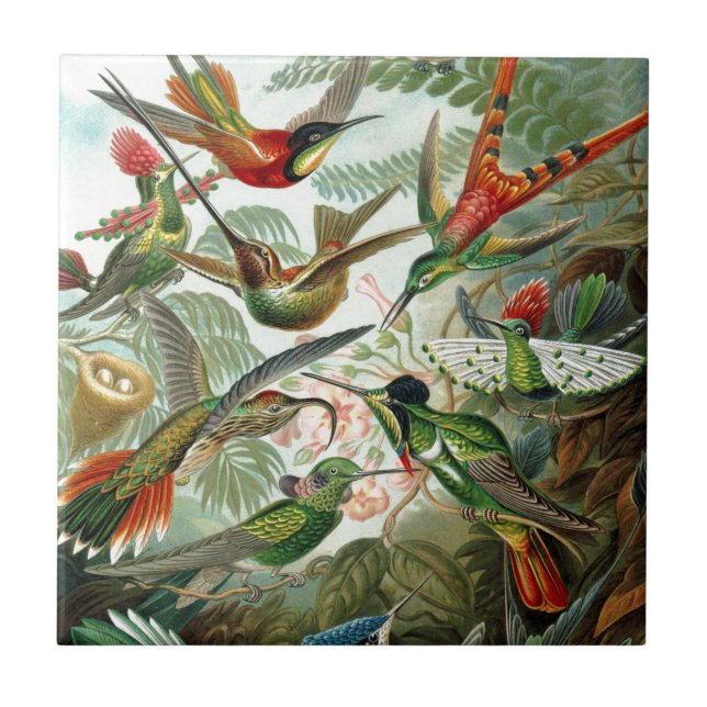 Humming Birds Paradise art Tile (Front)