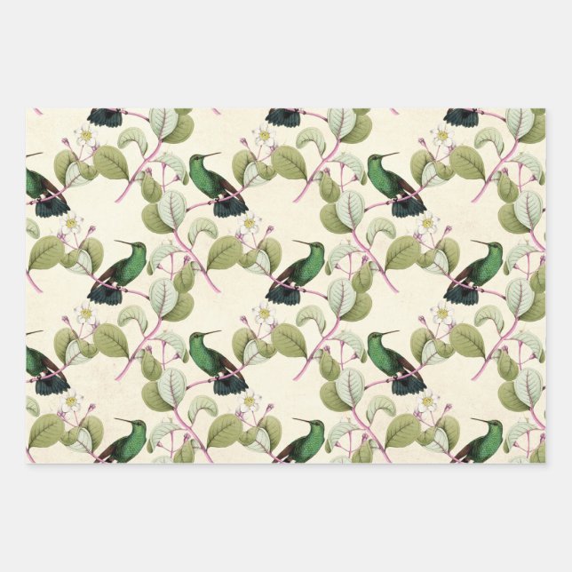 Humming Birds Series Design Three Wrapping Paper Sheet (Front)