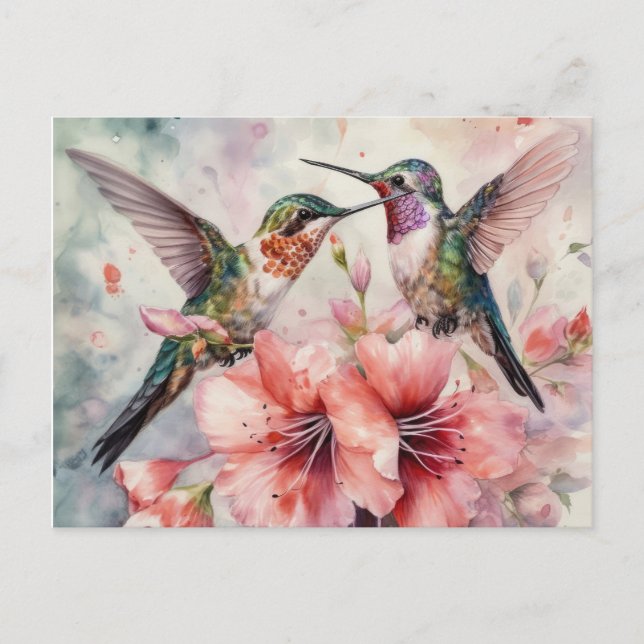 Humming Birds with Flowers Postcard (Front)
