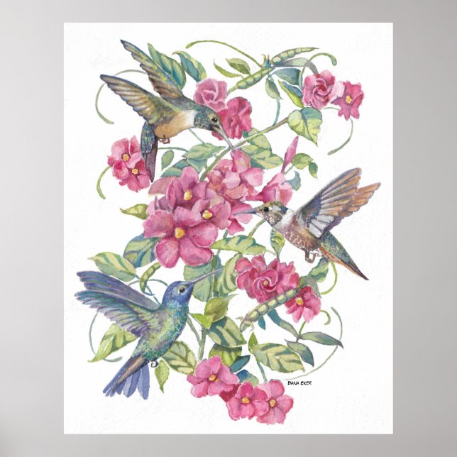 HUMMING BIRDS WITH PINK FLOWERS POSTER (Front)