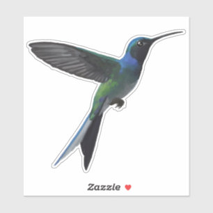 Hummingbird