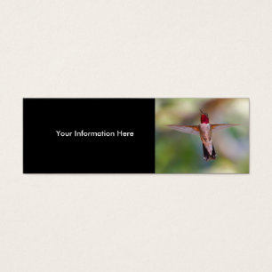 hummingbird