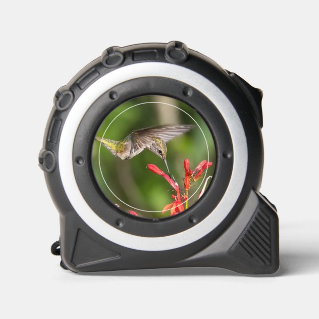  Hummingbird 1 (Front)
