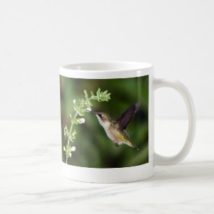 Hummingbird 10 Mug
