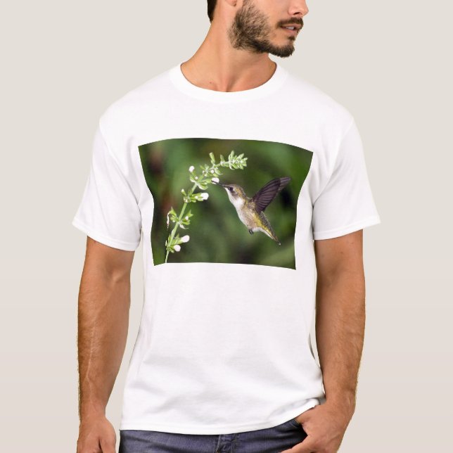 Hummingbird 10 T-Shirt (Front)