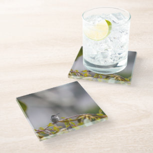 Hummingbird 3346 glass coaster