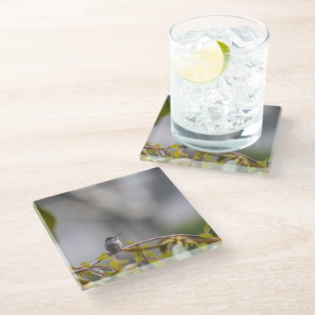 Hummingbird 3346 glass coaster (Angled)