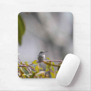 Hummingbird 3346 mouse mat