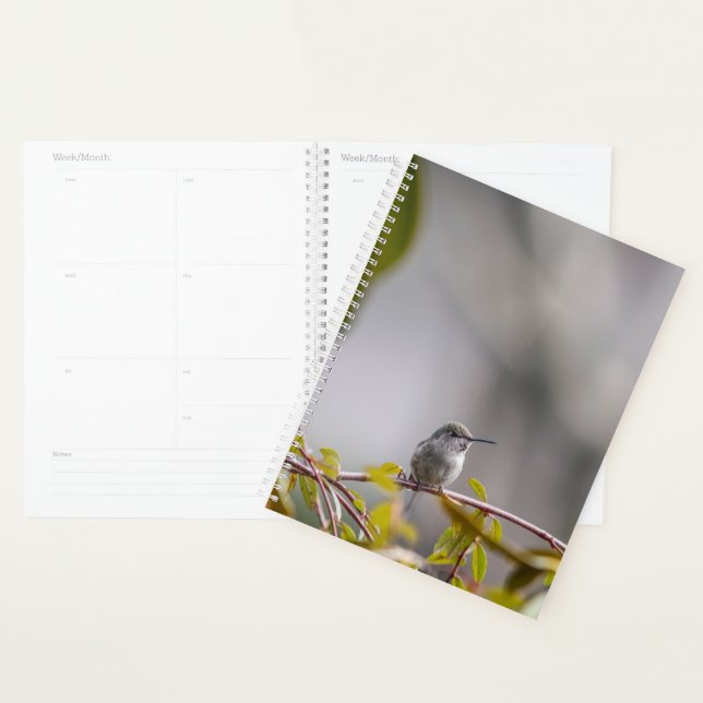 Hummingbird 3346 planner (Display)