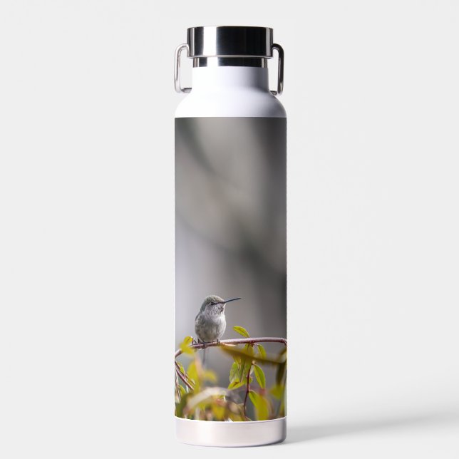 Hummingbird 3346 water bottle (Front)