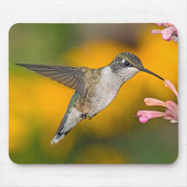 Hummingbird 4 Mousepad (Front)