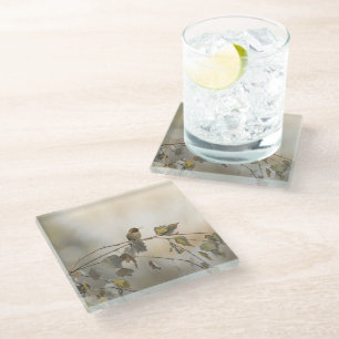 Hummingbird 5265 glass coaster
