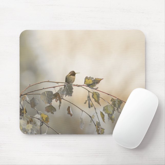 Hummingbird 5265 mouse mat (With Mouse)