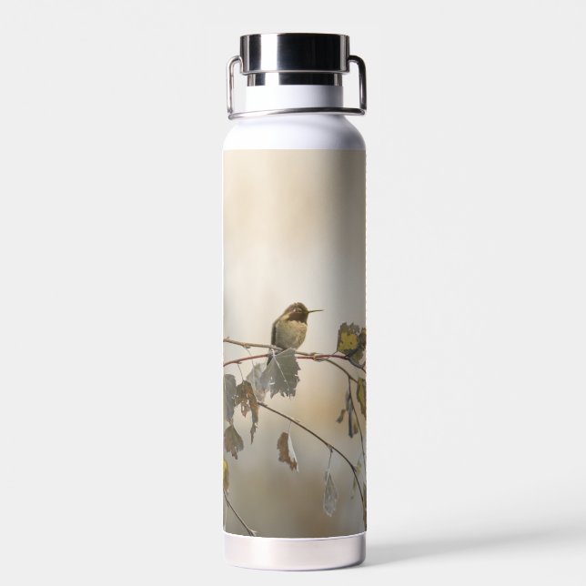 Hummingbird 5265 water bottle (Back)