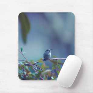 Hummingbird 5738 mouse mat