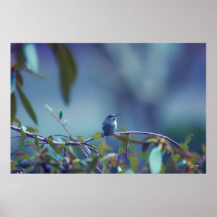 Hummingbird 5738 poster