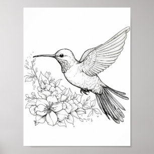 Hummingbird Adult Coloring Poster