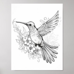 Hummingbird Adult Colouring Poster