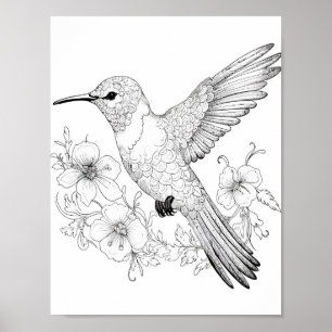 Hummingbird Adult Colouring Poster