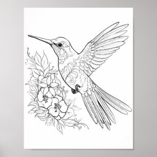 Hummingbird Adult Colouring Poster