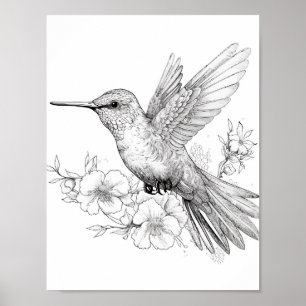 Hummingbird Adult Colouring Poster