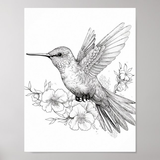 Hummingbird Adult Colouring Poster (Front)