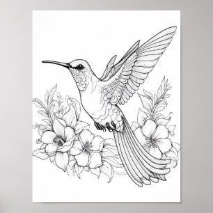 Hummingbird Adult Colouring Poster