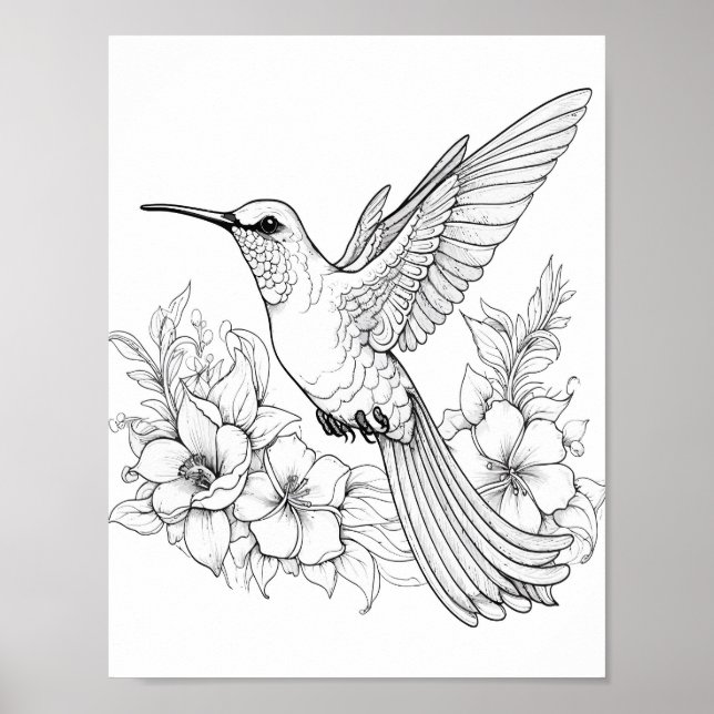 Hummingbird Adult Colouring Poster (Front)