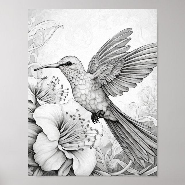 Hummingbird Adult Colouring Poster (Front)